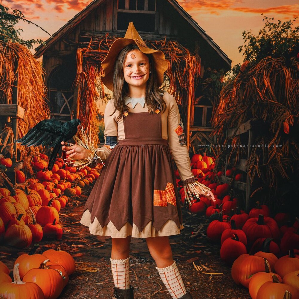 Only Little Once Scarecrow Dress Costume, size 10